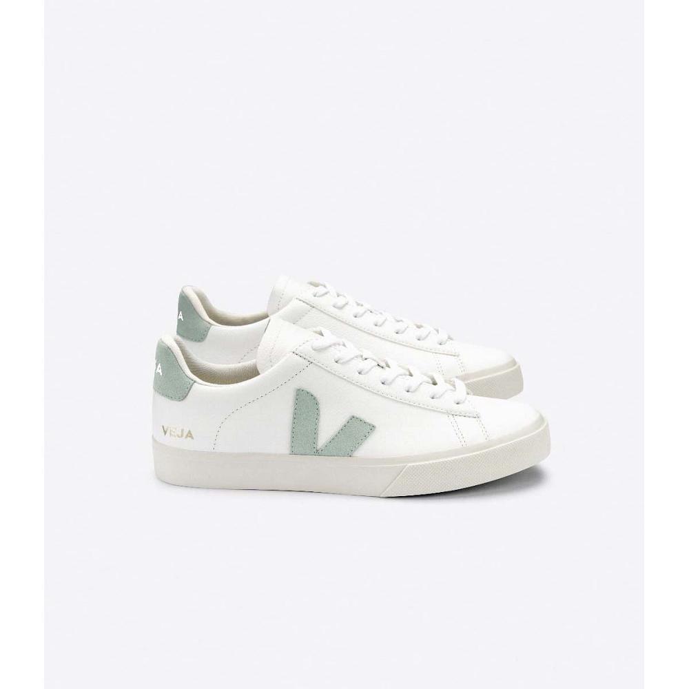 Veja CAMPO CHROMEFREE Low Tops Sneakers Panske White/Mint | SK 295RVD